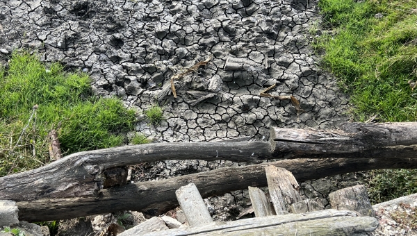Moldova Frees its Rivers: Dam Removals Mark Important Step for Water Resilience